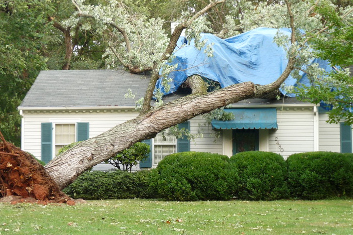 Different Flat Roof Coverings Compared For Storm Resistance