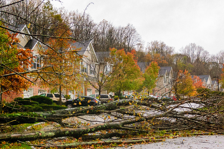 How to Repair Storm Damage on a Felt Flat Roof Storm